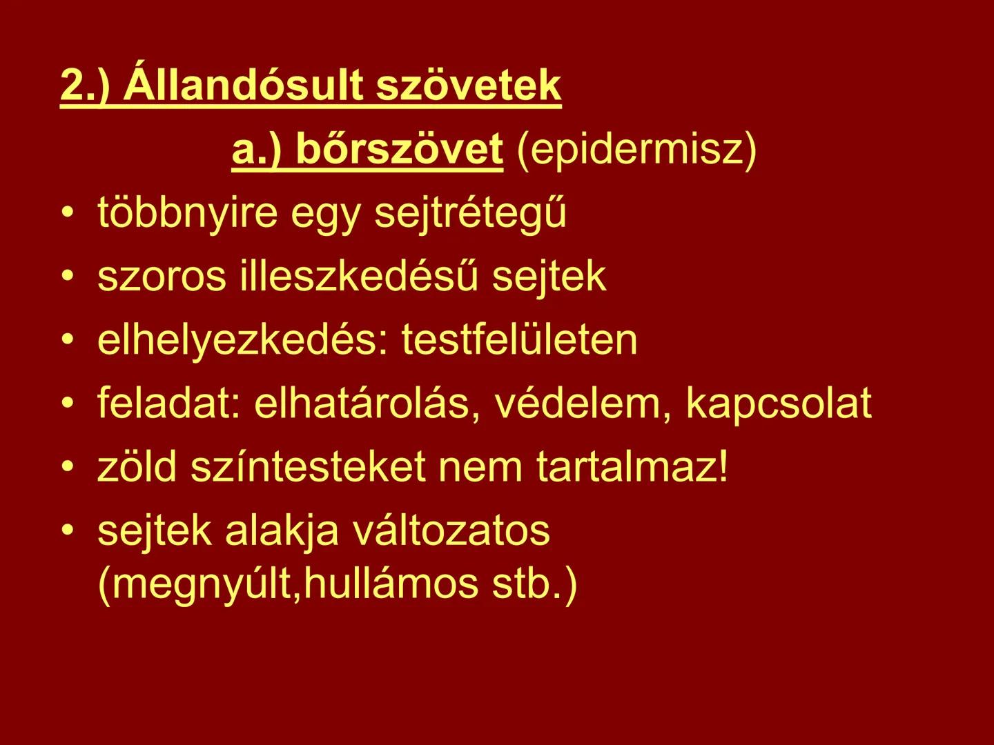 # A növényi szövetek I. Szövet: azonos működésű, azonos alakú,
közös eredetű sejtek csoportja
II. Csoportosítás:
1.) Osztódó szövetek
2.) Ál