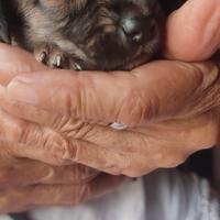 user profile picture